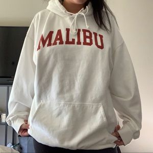 EUC Brandy Melville Hoodie